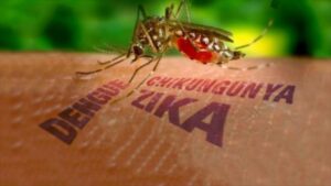 Dudas y temores del virus Zika