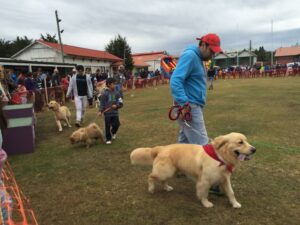 Exitosa nueva versión de Expo Canina en el recinto de Asogama