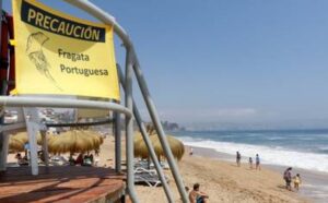 Playa Las Salinas y Las Torpederas prohiben el baño por fragata portuguesa