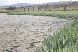 Precipitaciones de enero fueron las  más bajas de los últimos cinco años