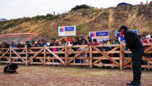 En la Fiesta del Ovejero estuvieron presentes los canes de Gendarmería