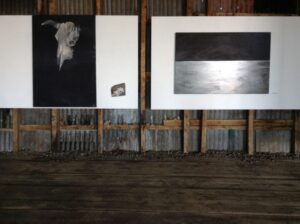 “Patagonia Minimalista”, retratos del paisaje magallánico