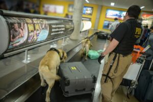 A la cárcel joven detectado en el aeropuerto ingresando droga a la región