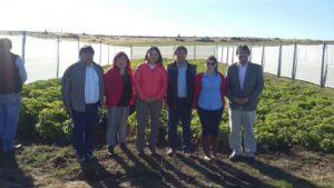 Consejeros regionales conocen en terreno producción y sanidad de la papa en Magallanes