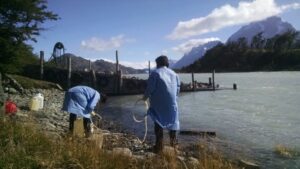Salud busca confirmar o descartar presencia de virus en Torres del Paine