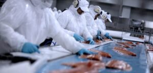 Prevén aumento del precio del salmón a nivel mundial por crisis en Chile