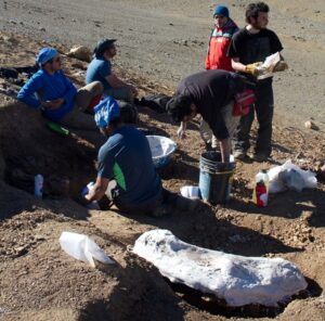 Restos de dinosaurios en zona  austral despierta interés mundial