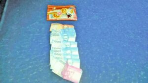 Pareja de Carabineros y un  can encontraron billetera  con dinero en la vía pública