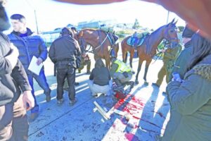 Carabineros presentará querella en contra de sujeto que atropelló a caballo y a cabo