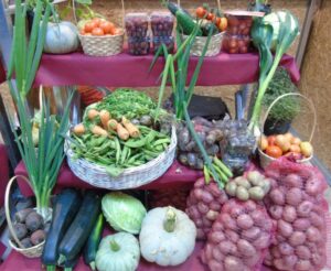 SAG invita a participar de Taller de Agricultura