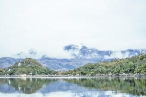 Presentación en Contraloría habría gatillado destitución  de Seremi de Medio Ambiente