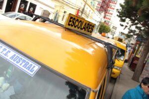 Dirigenta nacional del transporte escolar llamó al Gobierno a apoyar  a este gremio que en Punta Arenas suma más de 200 personas