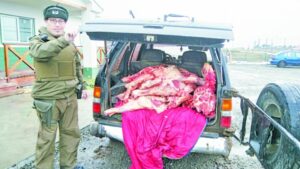 Detenido por abigeato transportaba  casi media tonelada de carne