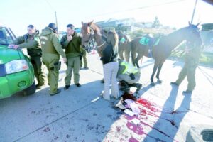 Dos detenidos tras atropellar a caballo de Carabineros en el Barrio Sur