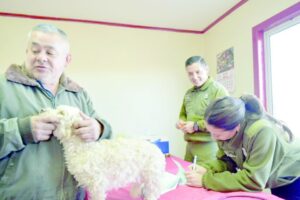 Carabineros realizó operativo cívico en Junta de Vecinos