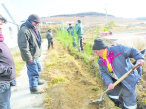 Conaf celebra 46 años de vida  en la región
