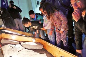Restos fósiles de ictiosaurio acapararon la atención de gran cantidad de público