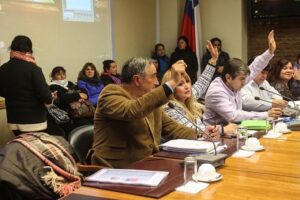 En fallo dividido Consejo Regional aprobó guardería en Parque Torres del Paine