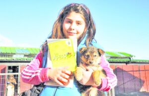 Municipio hace llamado a esterilizar gratuitamente a  mascotas perrunas a través del programa “Yo Aperro”