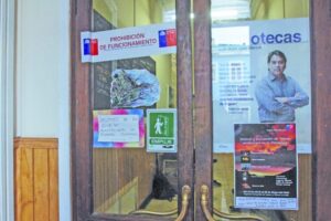 Coordinadora de Dibam niega persecución política tras cierre de espacio “El Árbol”