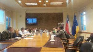 Preocupación por impacto de salmoneras en la región