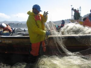 Gobierno estudia licitar 100% recursos pesqueros