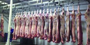 Rechazan proyecto de faenadora de carnes