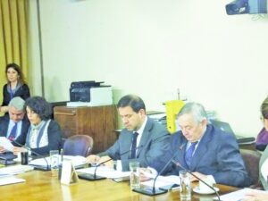 Acusan precariedad de institucionalidad ambiental por caso Isla Riesco