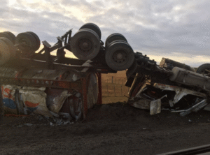 Camión cargado con salmones volcó y el chofer salió por sus propios medios