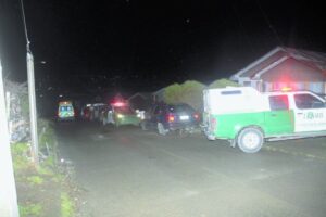 Mujer fue detenida luego de atacar  a su pareja con un tenedor parrillero