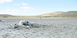 Sequía impacta en la ganadería y en especies silvestres