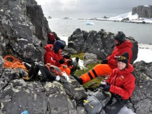 Descubren que agua de la Antártica tiene químicos que afectan la fauna de la zona