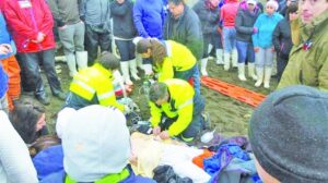 Dueño de pesquera muere trágicamente tras caer al Estrecho de Magallanes