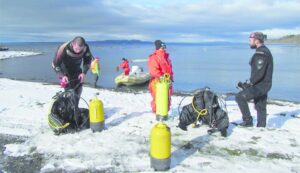 Científicos investigan los bosques de huiros en Magallanes
