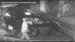 Indignación despierta video de hombre  abandonando cachorros en estación de servicio