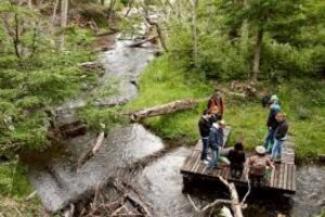 Chile propone un modelo de desarrollo sustentable al sur del mundo ante la Unesco