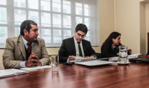 Cuatro empresas presentaron ofertas para operar el nuevo servicio de buses de Punta Arenas