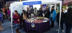 Comenzó la Feria Educativa 