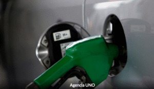 Parlamentarios en picada contra alza de combustibles que pone en duda eficacia del Mepco