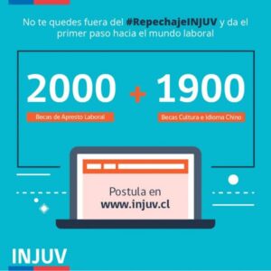 Lanzarán programa para aprender idioma chino mandarín
