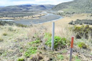 Aún no empieza temporada alta de turismo y ya hay problemas con aguas servidas