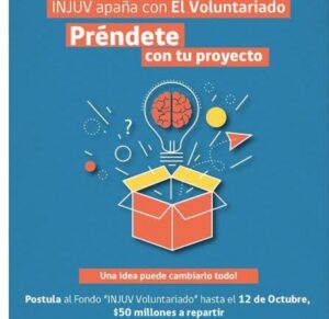 Invitan a postular al fondo concursable “Voluntariado 2016”