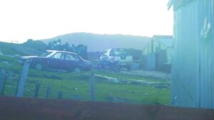 Tres detenidos por  faenamiento clandestino
