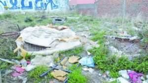 Inescrupulosos crearon un nuevo basural  en sitio eriazo de calle Patagona y Paraguaya