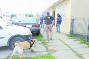 PDI desbarató banda narco que  operaba en la Región de Magallanes