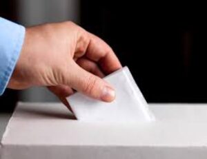 3.543 electores fueron retirados de la comuna de Punta Arenas por cambio de domicilio electoral