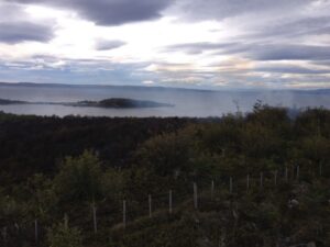 CONAF Magallanes informa situación de incendios forestales con llamado a la prevención