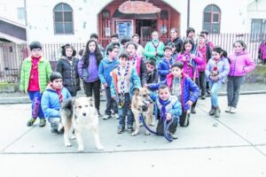 Emotiva bendición de  mascotas en Punta Arenas