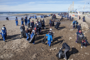 GALERÍA | Multitudinaria convocatoria tuvo limpieza de playa en Punta Arenas