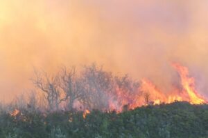 “En Magallanes vamos a tener sí o sí temporada de incendios forestales”